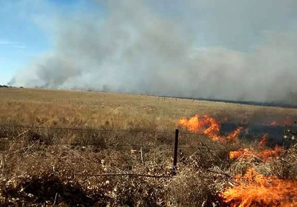 Alerta roja en San Luis por riesgo extremo de incendios forestales Alerta roja en San Luis por riesgo extremo de incendios forestales