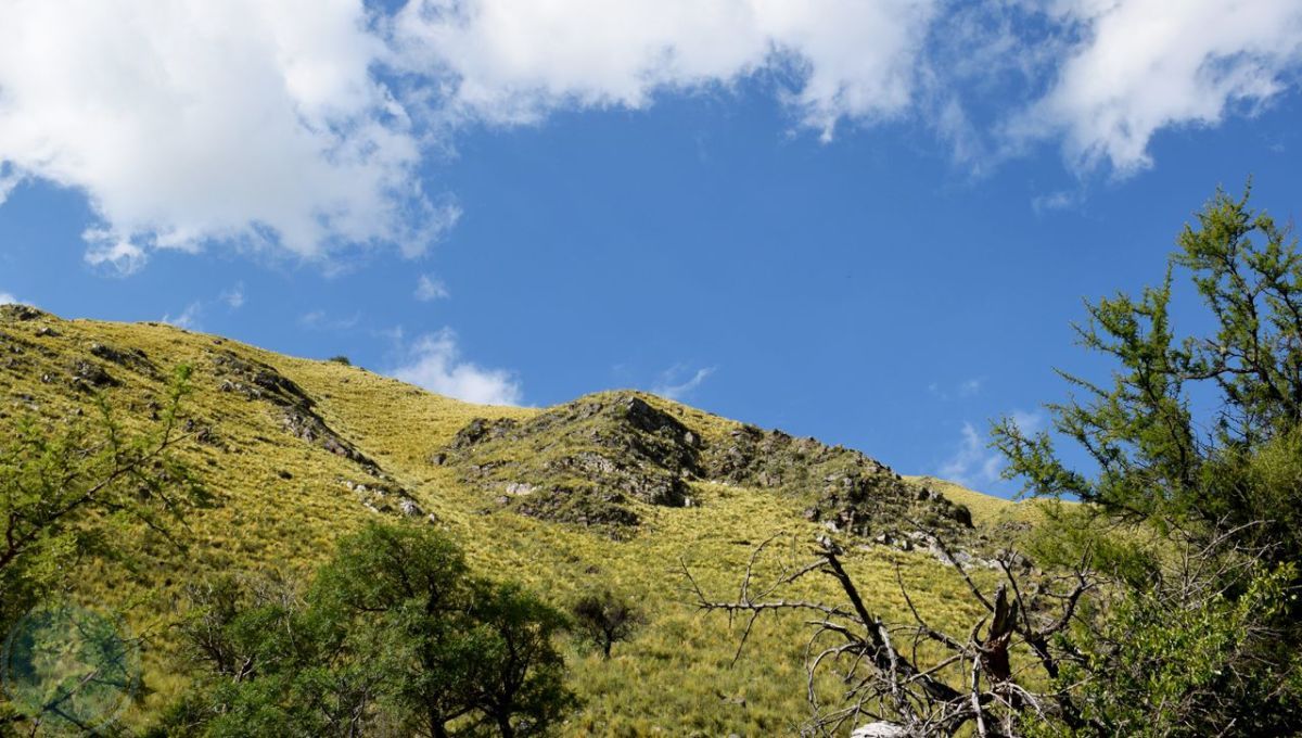 Pronóstico de viernes: algo de viento pero temperatura agradable