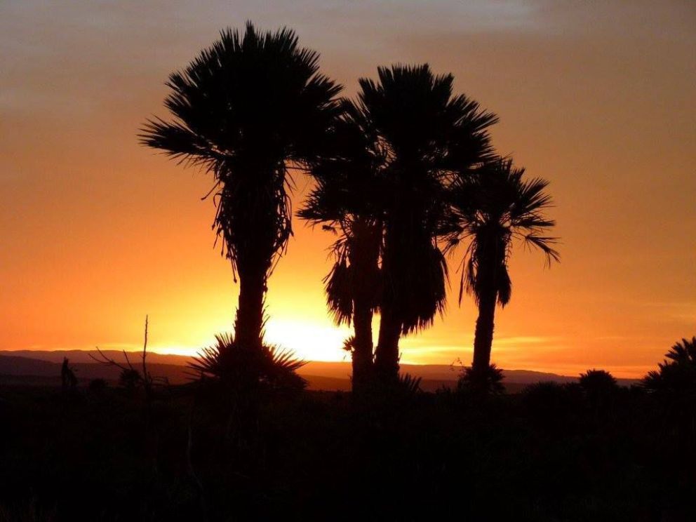 El arroyo Papagayos, uno de los grandes atractivos de este verano