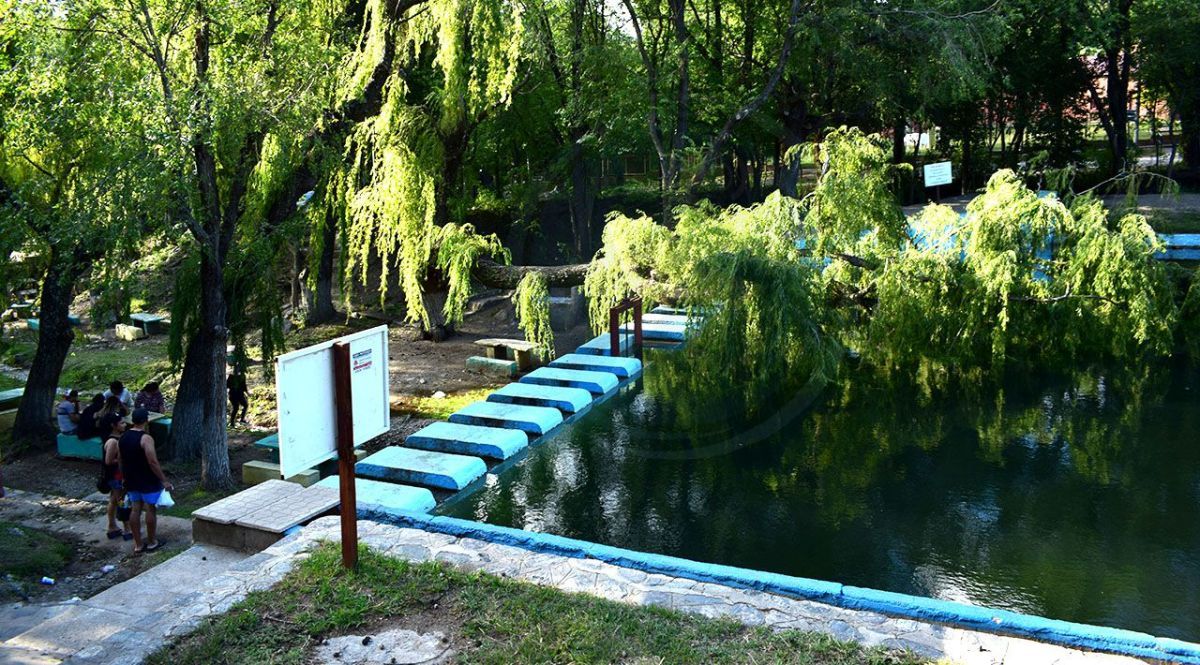 Salvaron su vida de milagro: un sauce cayó sobre padre e hija en el balneario del Rincón