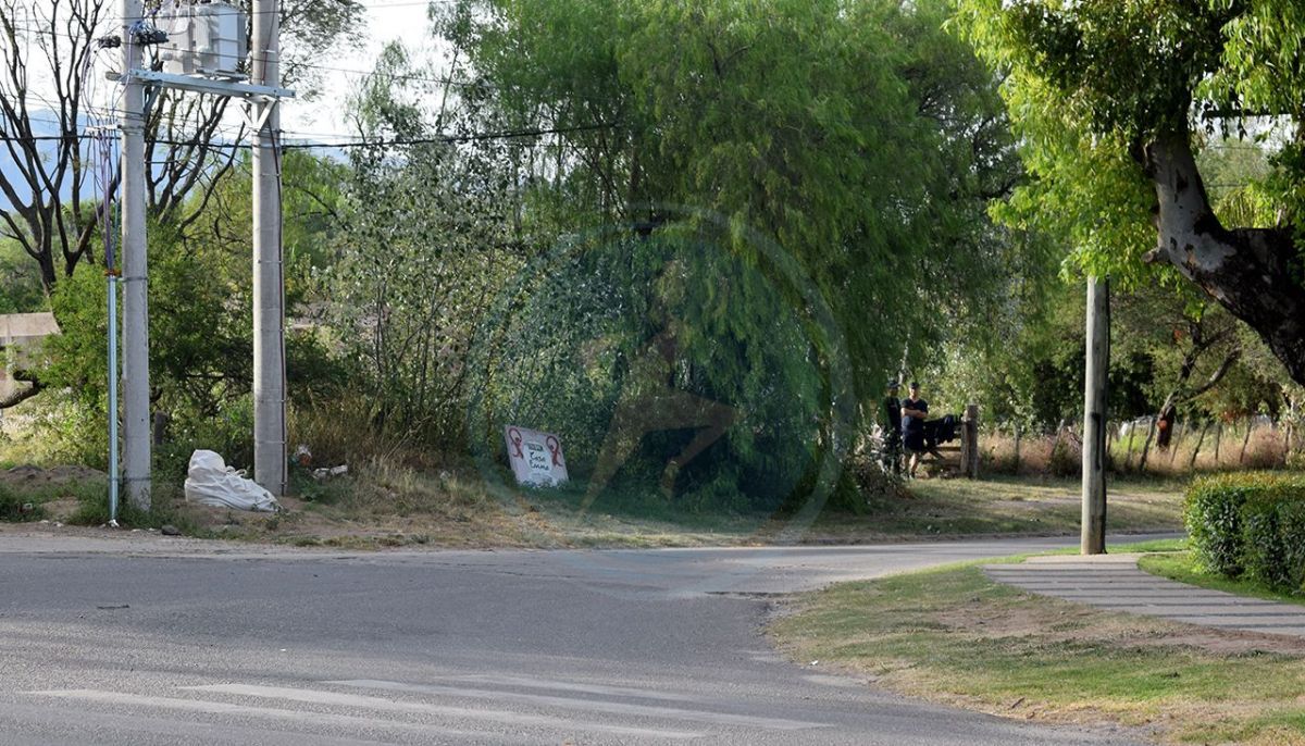 Encontraron a una menor de edad atada a un árbol: era intensamente buscada