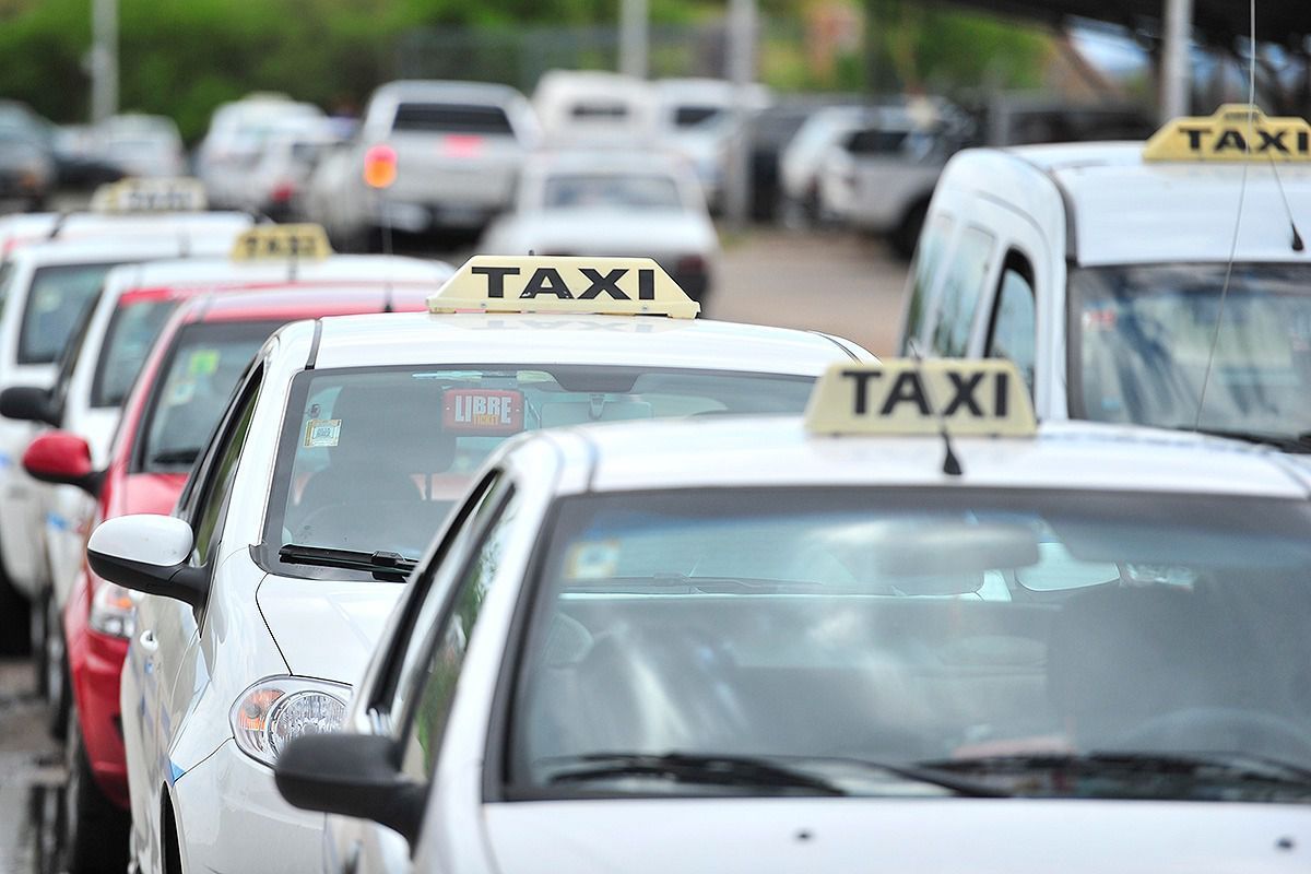 El Municipio entregará nuevas licencias de taxi