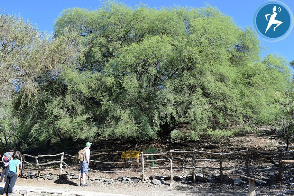 El Parque Provincial Bajo de Véliz