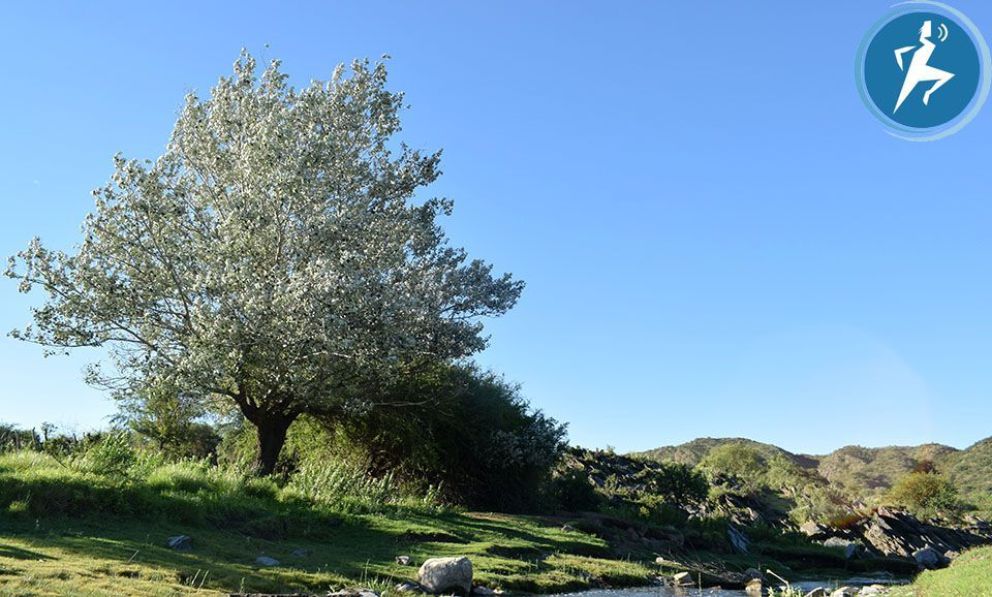 El Parque Provincial Bajo de Véliz