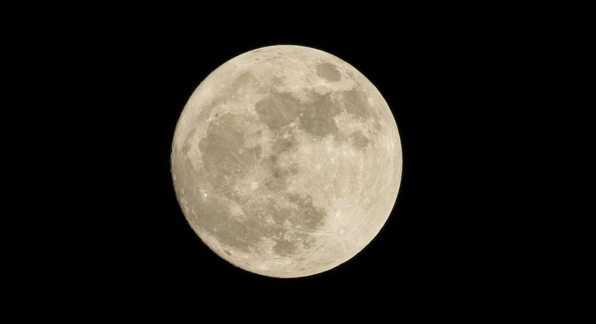 Luna Llena en Leo: corazón y mente trabajando en equipo para revelar lo mejor de nosotros mismos