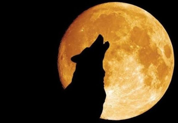 "Luna del Lobo": llega la primera superluna llena del año