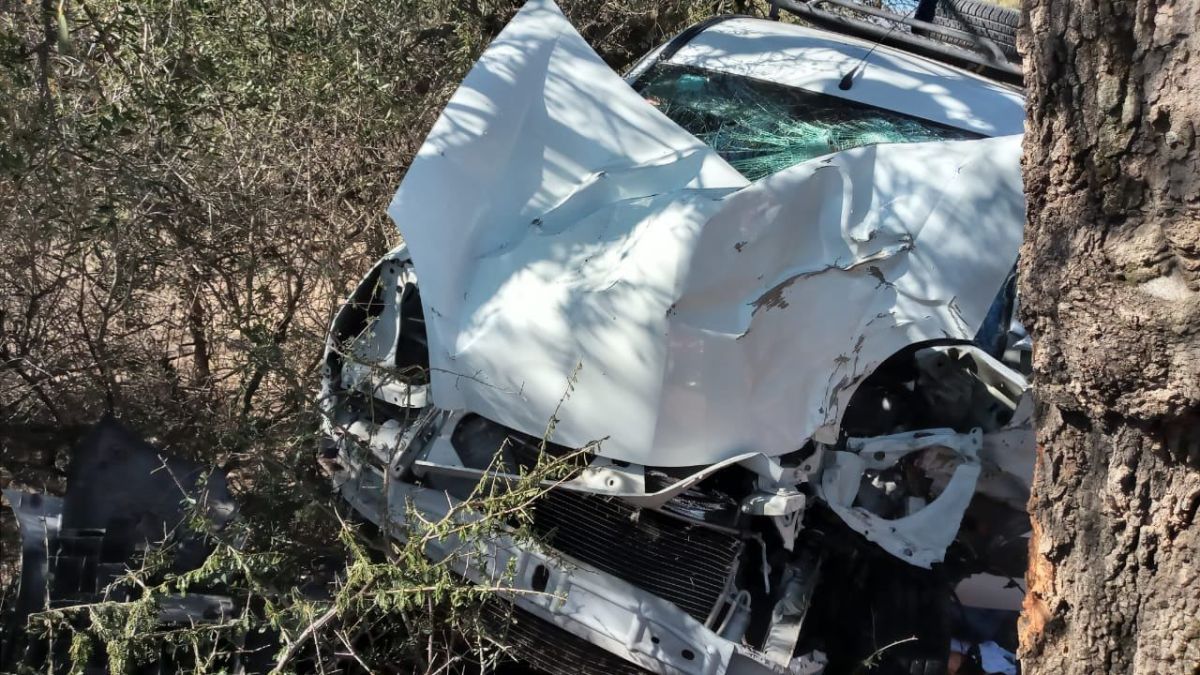 Perdió el control de su auto y chocó contra un árbol | El Corredor ...