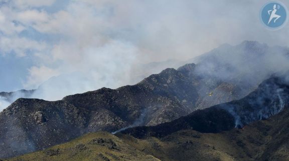 Día mundial de la Prevención de Incendios Forestales: un llamado a la conciencia